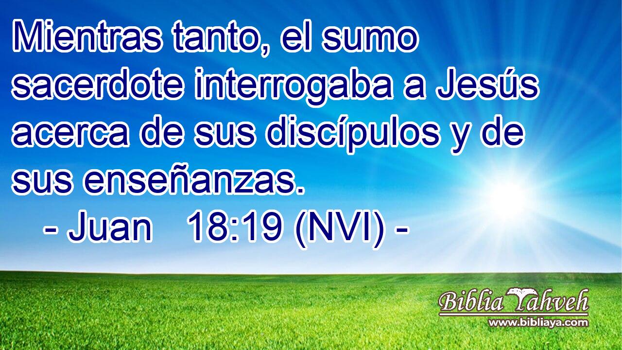  Mientras tanto, el sumo sacerdote interrogaba a Jesús acerca de sus discípulos y de sus enseñanzas. 