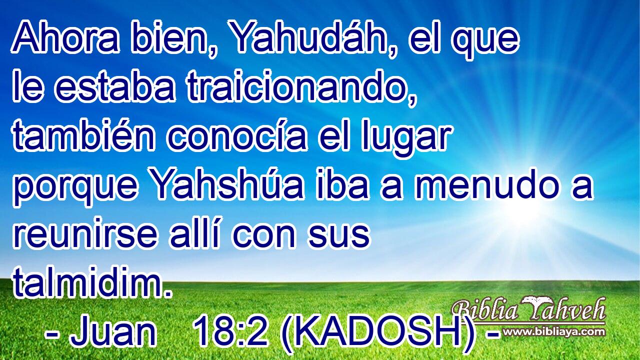  Ahora bien, Yahudáh, el que le estaba traicionando, también conocía el lugar porque Yahshúa iba a menudo a reunirse allí con sus talmidim. 