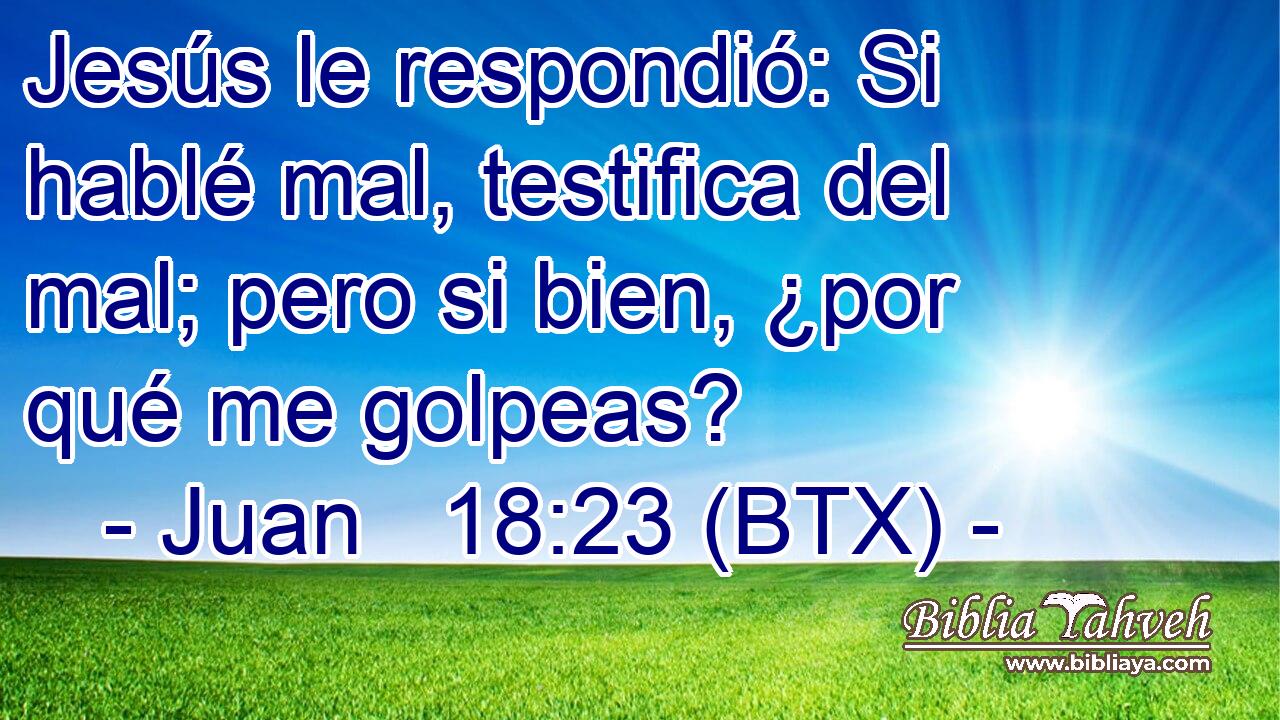 Jesús le respondió: Si hablé mal, testifica del mal; pero si bien, ¿por qué me golpeas?