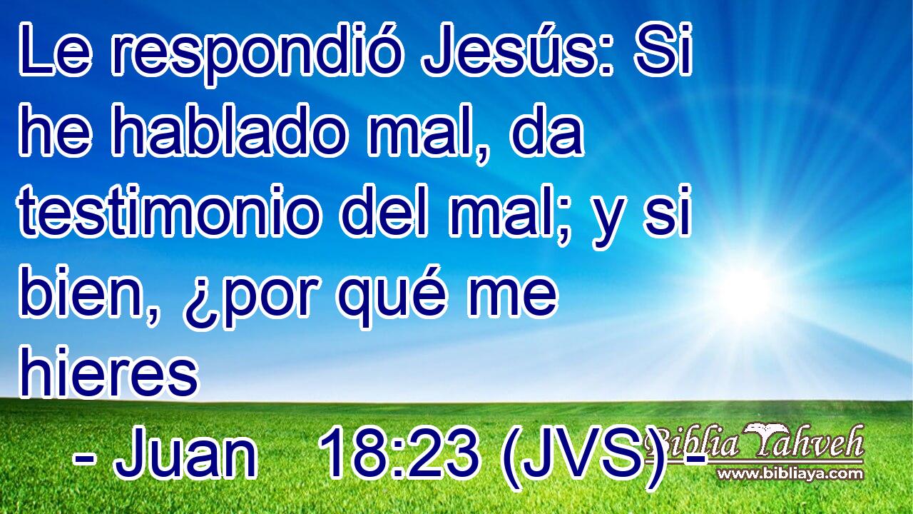 Le respondió Jesús: Si he hablado mal, da testimonio del mal; y si bien, ¿por qué me hieres