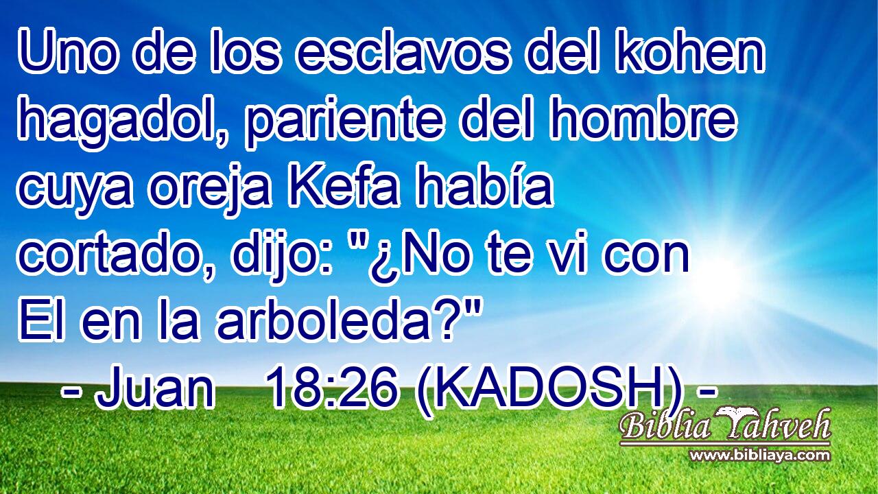  Uno de los esclavos del kohen hagadol, pariente del hombre cuya oreja Kefa había cortado, dijo: 