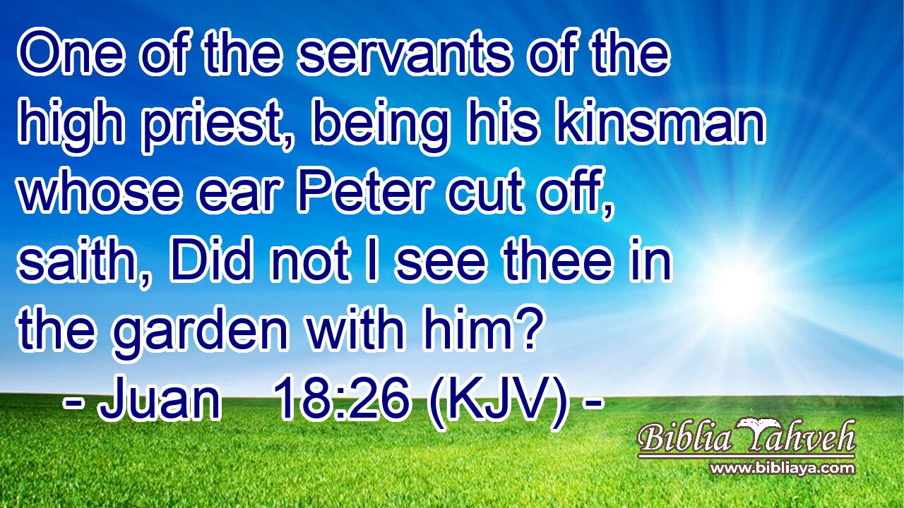 One of the servants of the high priest, being his kinsman whose ear Peter cut off, saith, Did not I see thee in the garden with him?