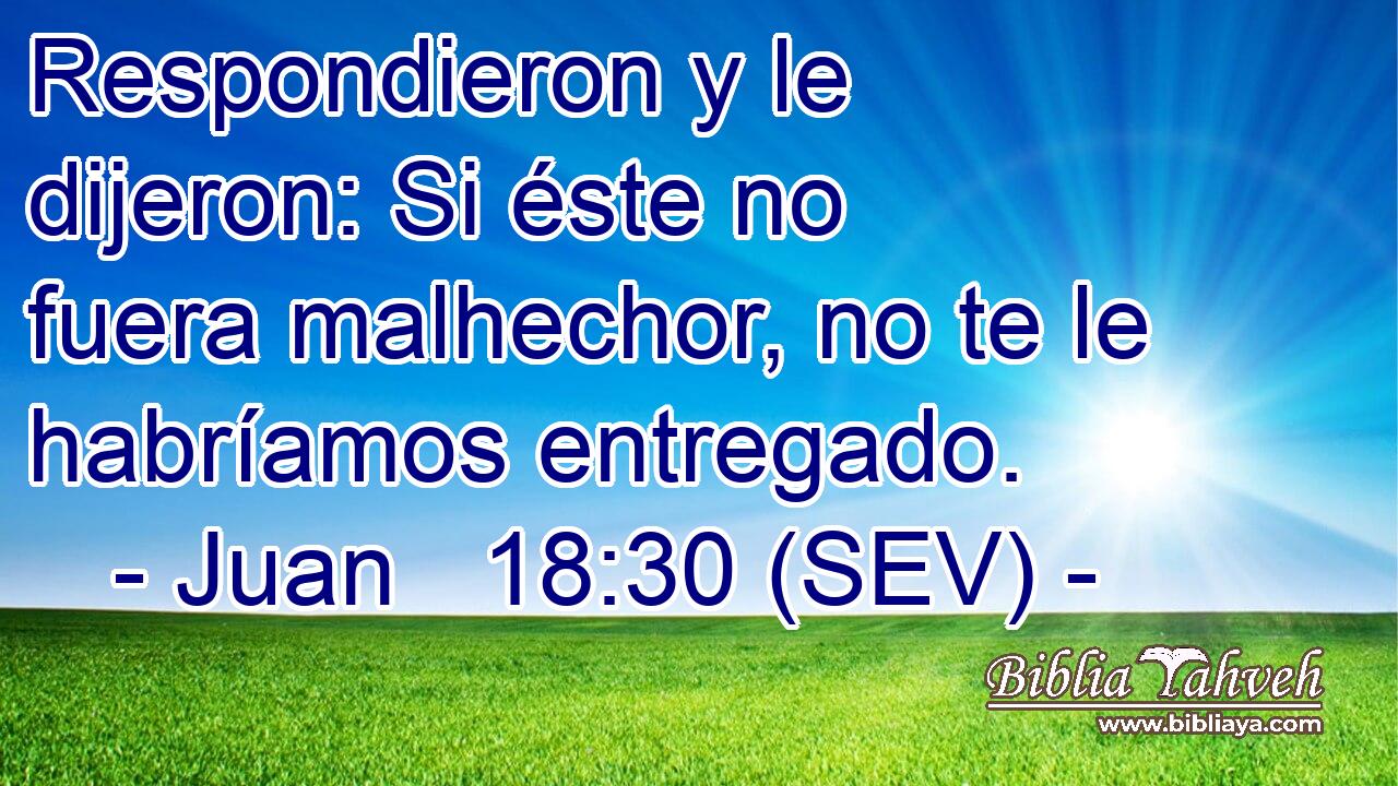 Respondieron y le dijeron: Si éste no fuera malhechor, no te le habríamos entregado.