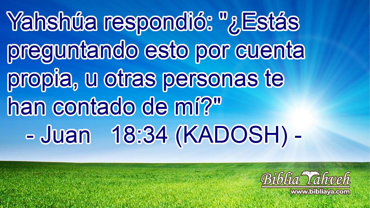  Yahshúa respondió: 