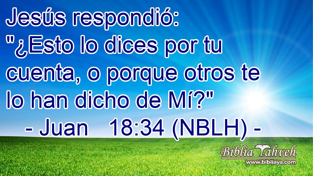  Jesús respondió: 