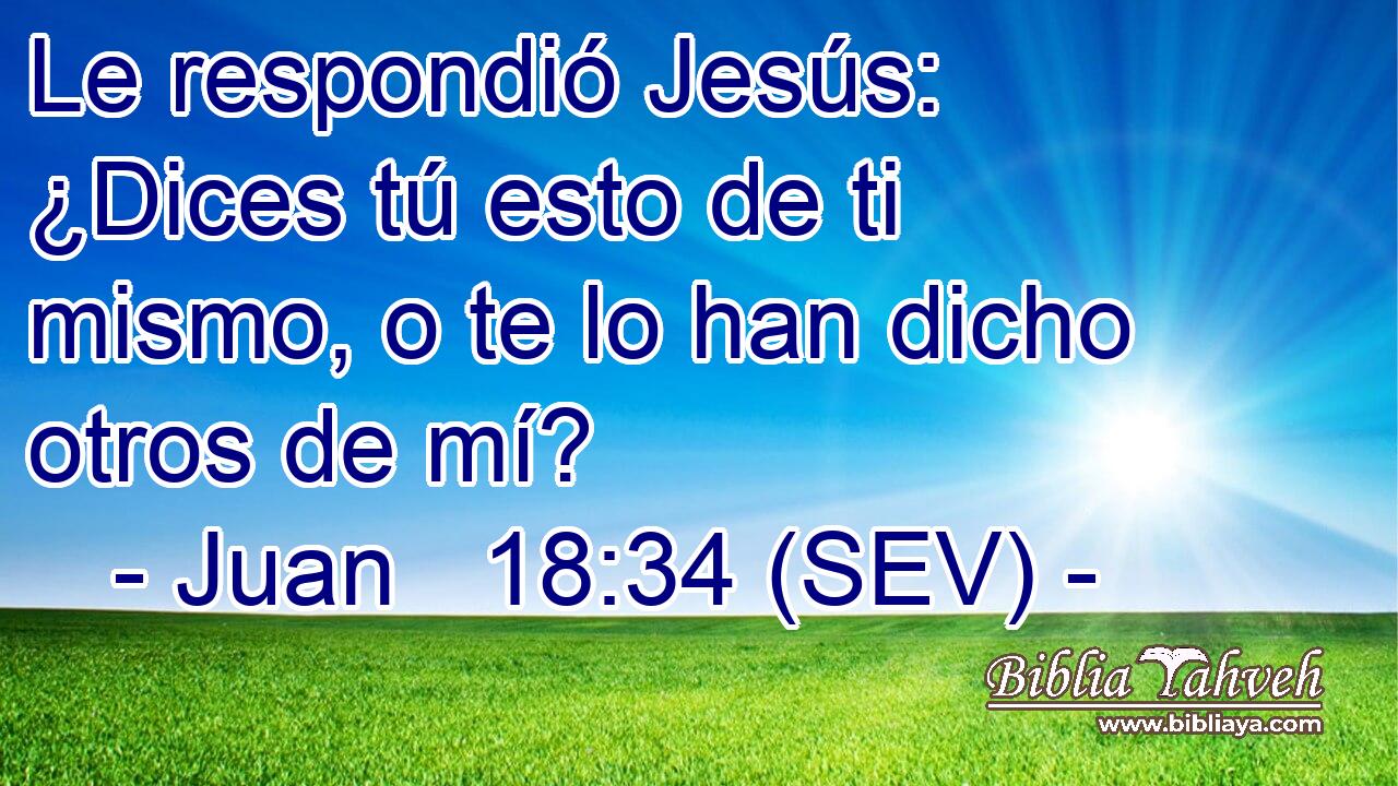 Le respondió Jesús: ¿Dices tú esto de ti mismo, o te lo han dicho otros de mí?
