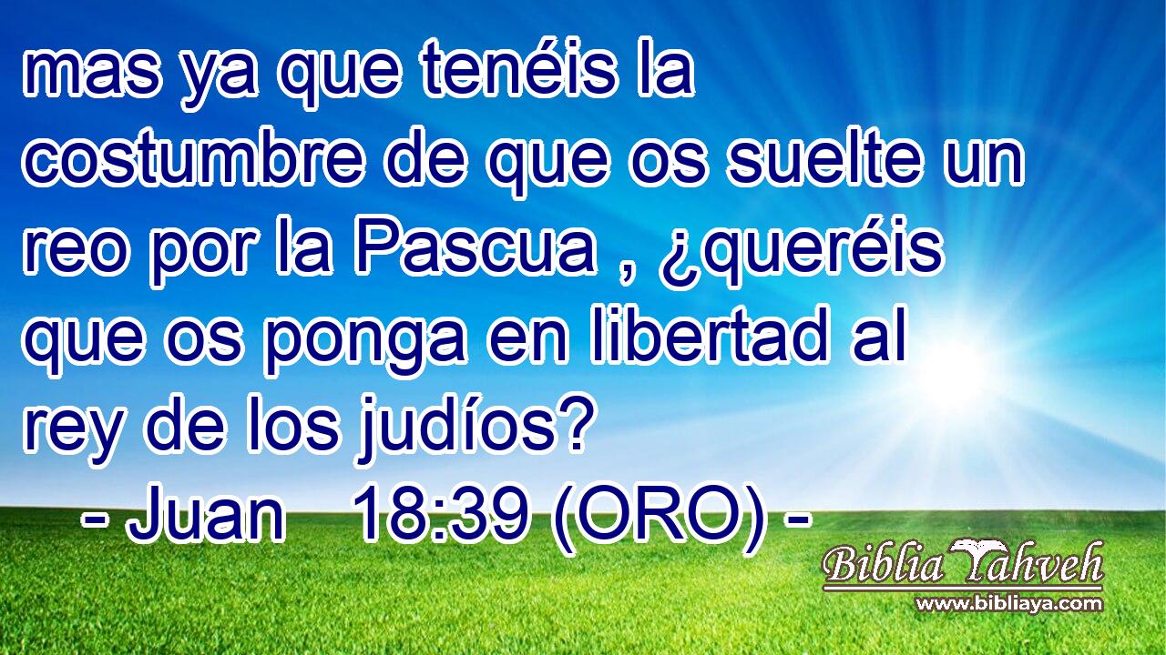 mas ya que tenéis la costumbre de que os suelte un reo por la Pascua , ¿queréis que os ponga en libertad al rey de los judíos? 