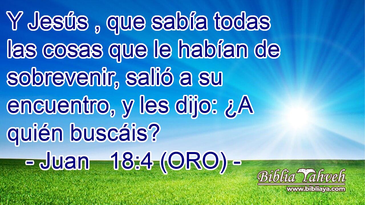  Y Jesús , que sabía todas las cosas que le habían de sobrevenir, salió a su encuentro, y les dijo: ¿A quién buscáis? 