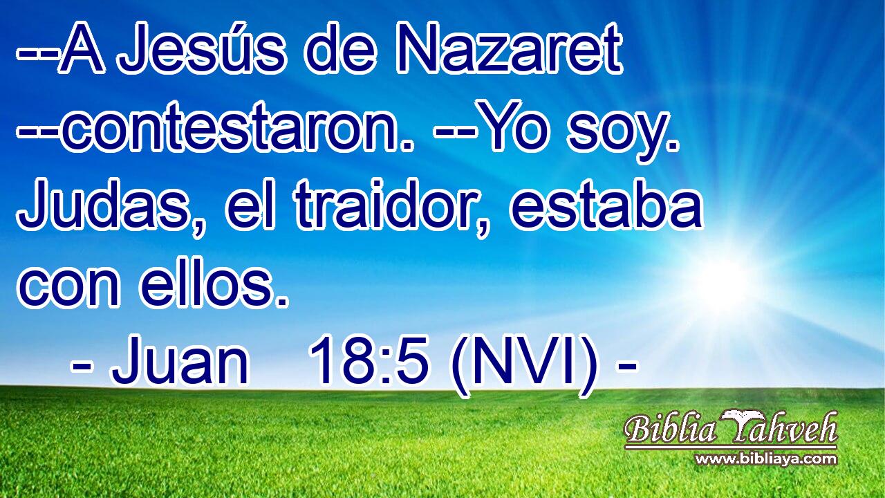  --A Jesús de Nazaret --contestaron. --Yo soy. Judas, el traidor, estaba con ellos. 