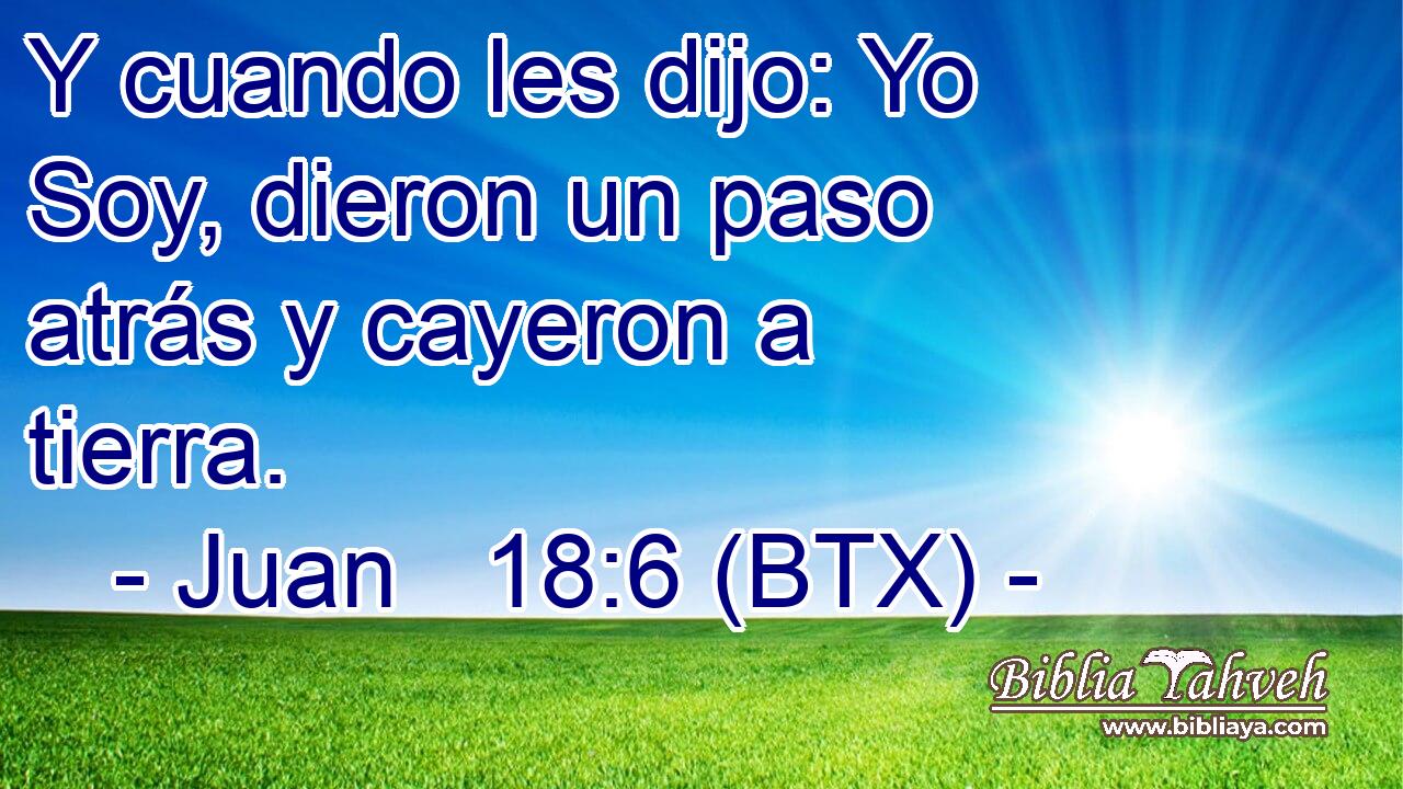 Y cuando les dijo: Yo Soy, dieron un paso atrás y cayeron a tierra.