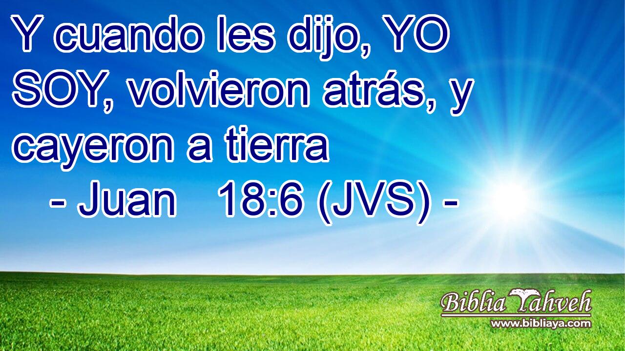 Y cuando les dijo, YO SOY, volvieron atrás, y cayeron a tierra