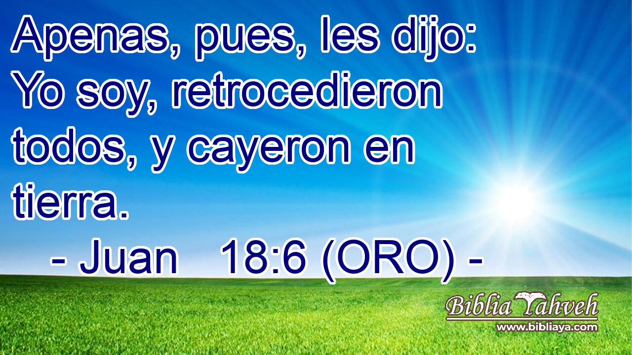  Apenas, pues, les dijo: Yo soy, retrocedieron todos, y cayeron en tierra. 