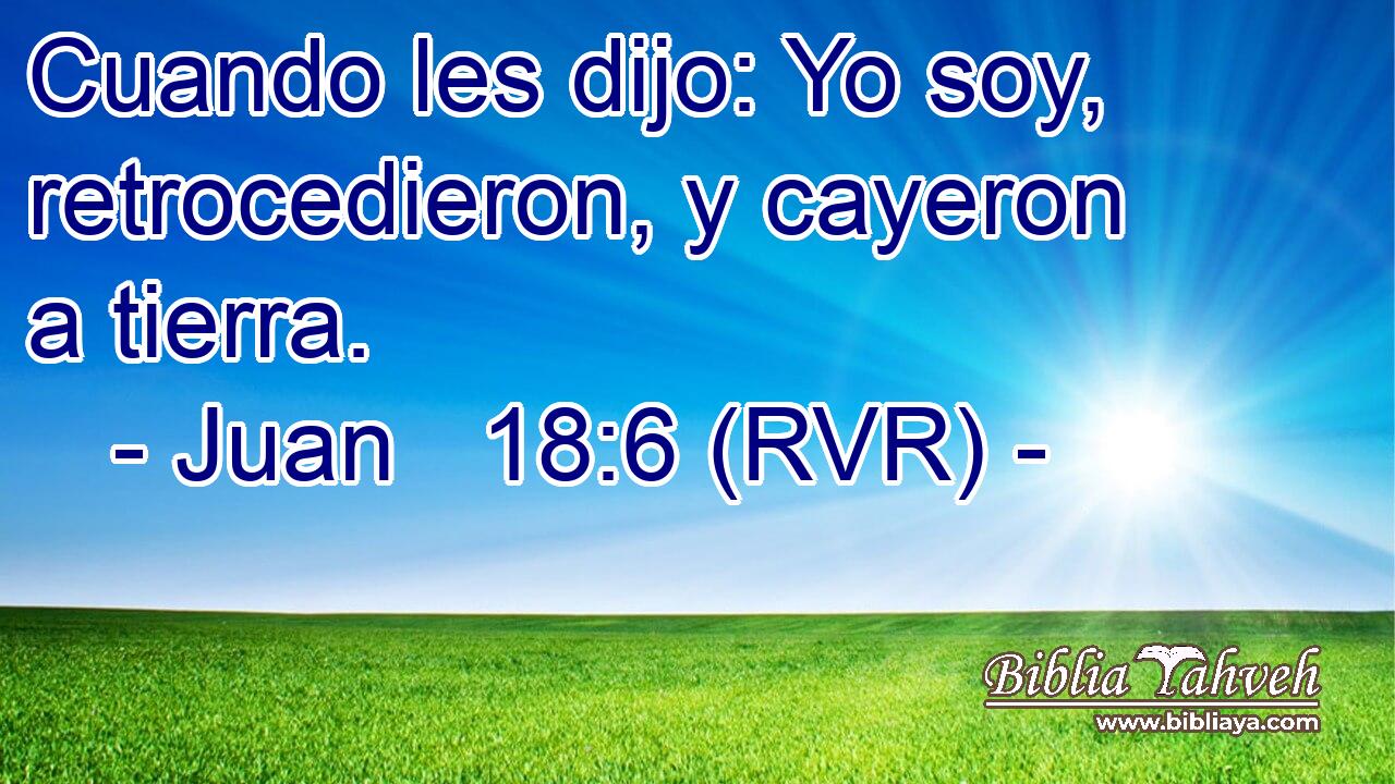 Cuando les dijo: Yo soy, retrocedieron, y cayeron a tierra.