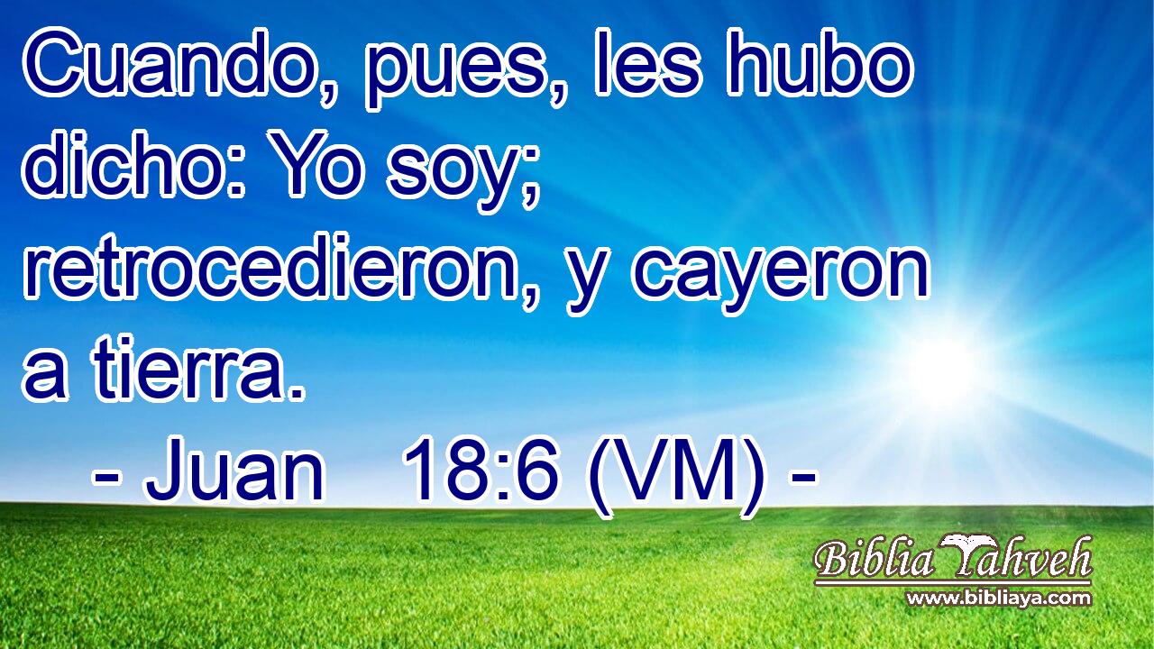  Cuando, pues, les hubo dicho: Yo soy; retrocedieron, y cayeron a tierra. 