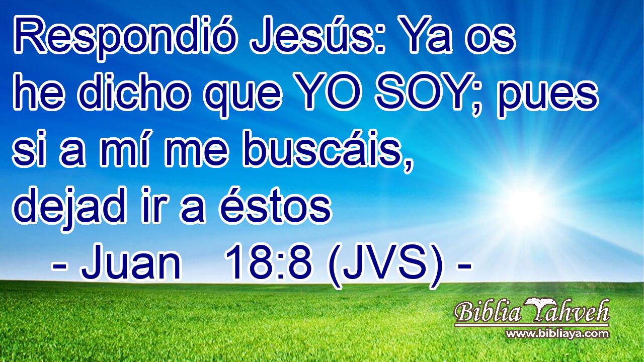 Respondió Jesús: Ya os he dicho que YO SOY; pues si a mí me buscáis, dejad ir a éstos