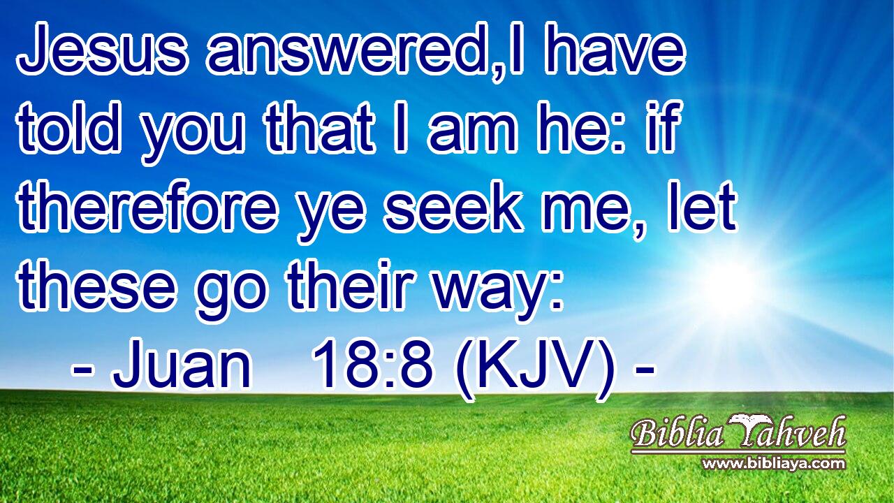 Jesus answered,I have told you that I am he: if therefore ye seek me, let these go their way: