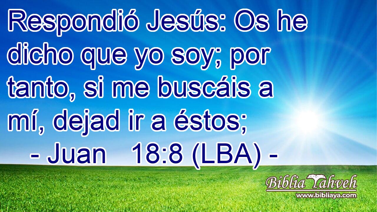 Respondió Jesús: Os he dicho que yo soy; por tanto, si me buscáis a mí, dejad ir a éstos;