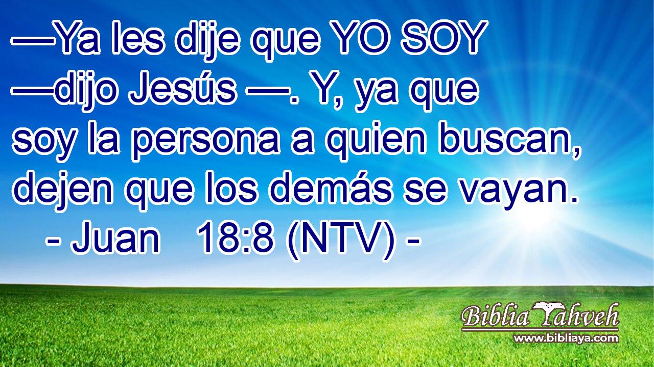 —Ya les dije que YO SOY —dijo Jesús —. Y, ya que soy la persona a quien buscan, dejen que los demás se vayan.