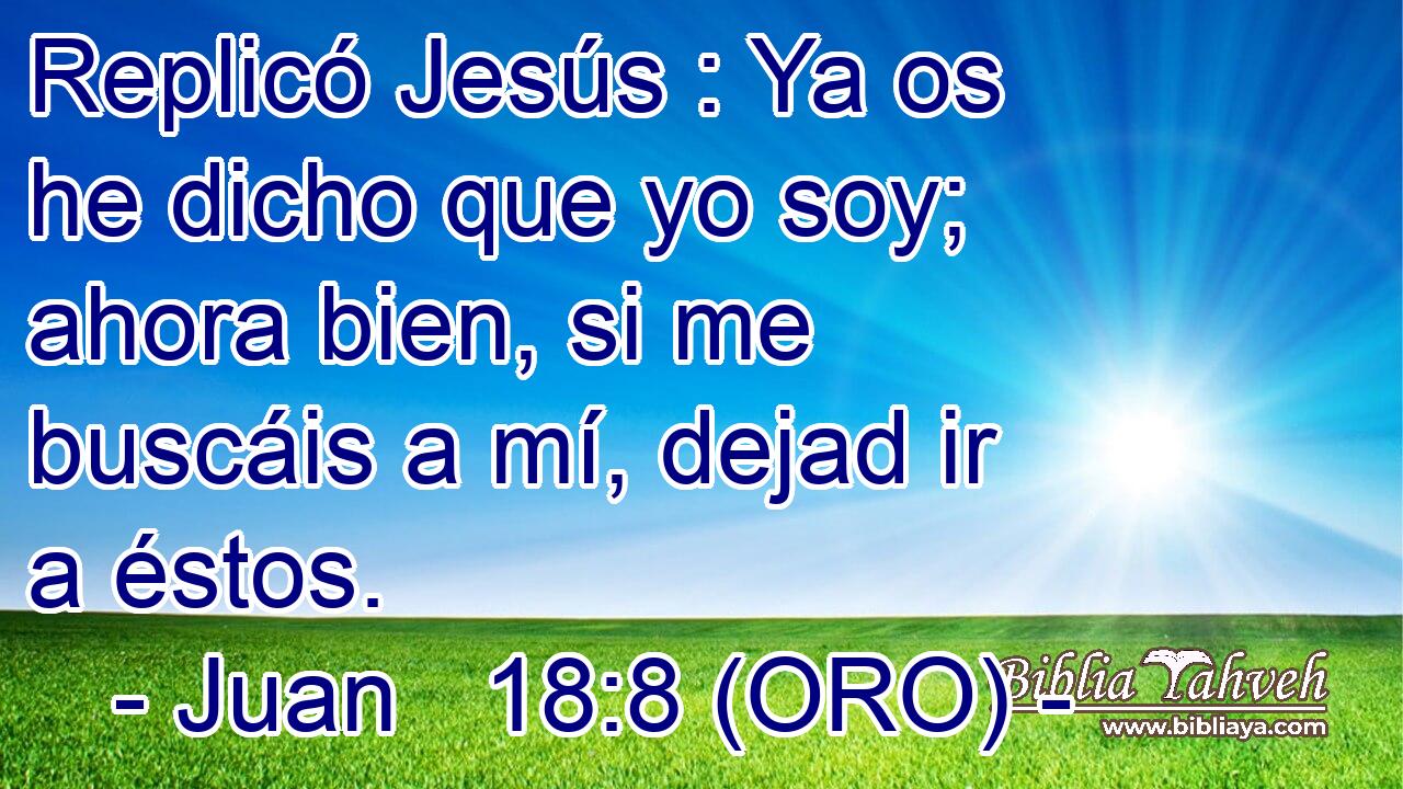  Replicó Jesús : Ya os he dicho que yo soy; ahora bien, si me buscáis a mí, dejad ir a éstos. 