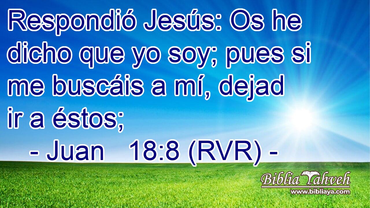 Respondió Jesús: Os he dicho que yo soy; pues si me buscáis a mí, dejad ir a éstos;
