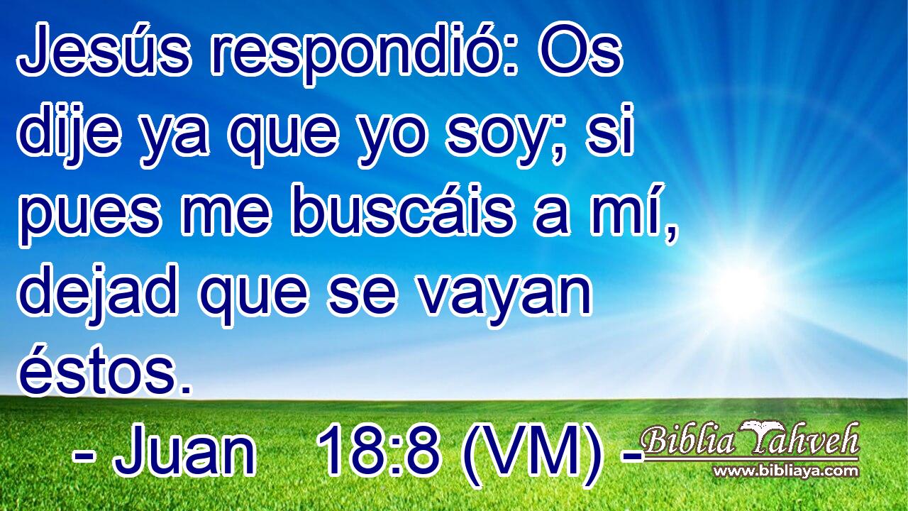  Jesús respondió: Os dije ya que yo soy; si pues me buscáis a mí, dejad que se vayan éstos. 