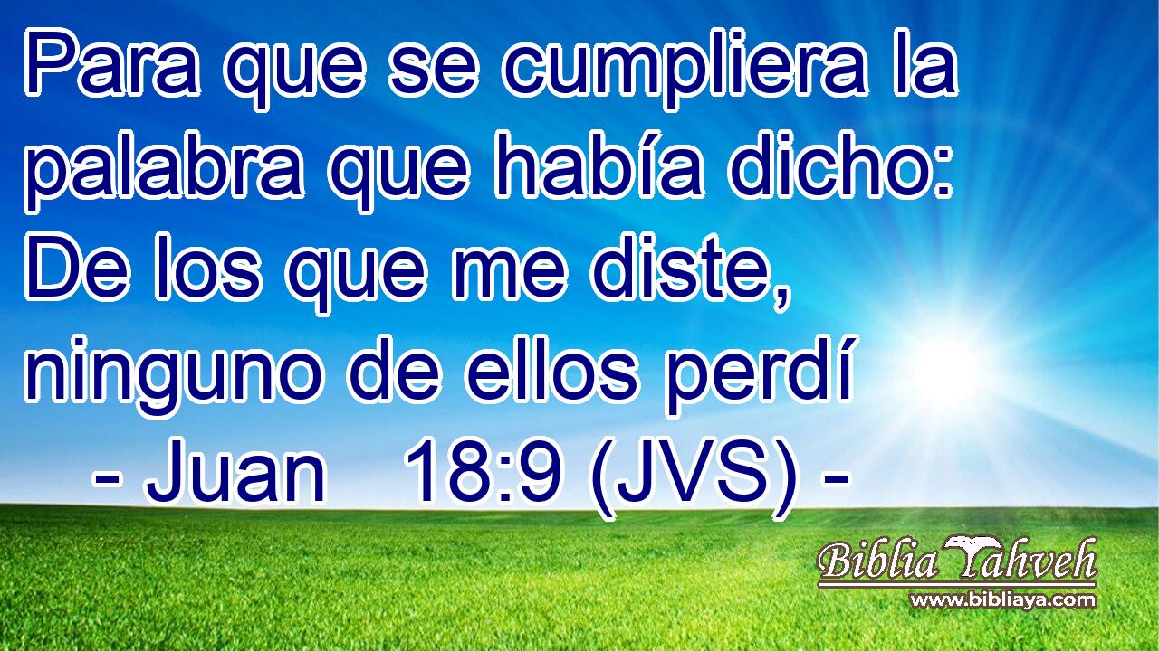 Para que se cumpliera la palabra que había dicho: De los que me diste, ninguno de ellos perdí