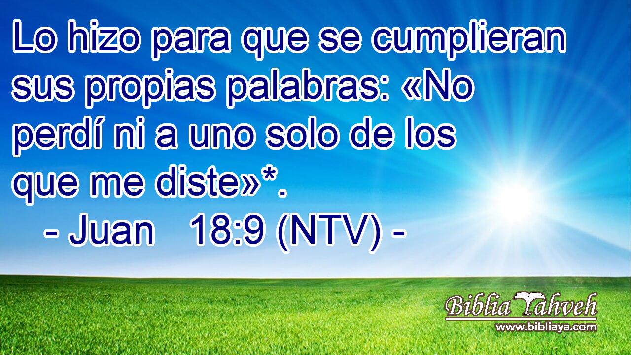 Lo hizo para que se cumplieran sus propias palabras: «No perdí ni a uno solo de los que me diste»*.