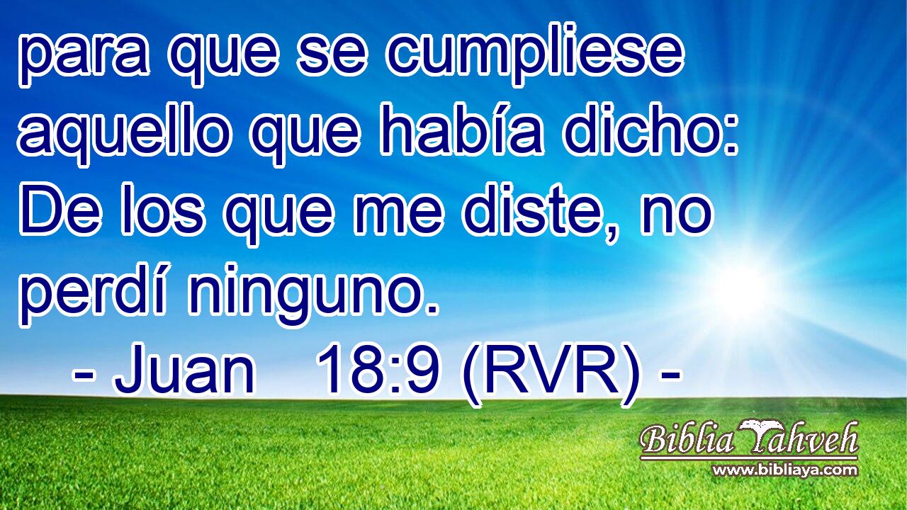 para que se cumpliese aquello que había dicho: De los que me diste, no perdí ninguno.
