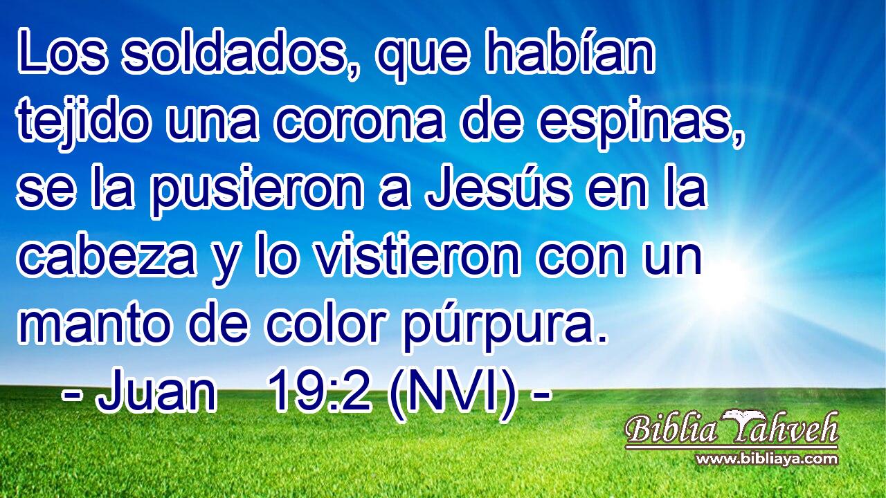  Los soldados, que habían tejido una corona de espinas, se la pusieron a Jesús en la cabeza y lo vistieron con un manto de color púrpura. 