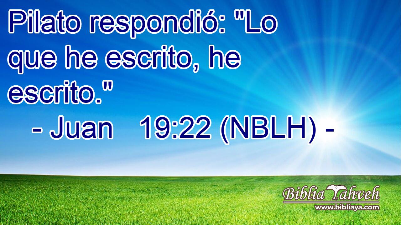  Pilato respondió: 