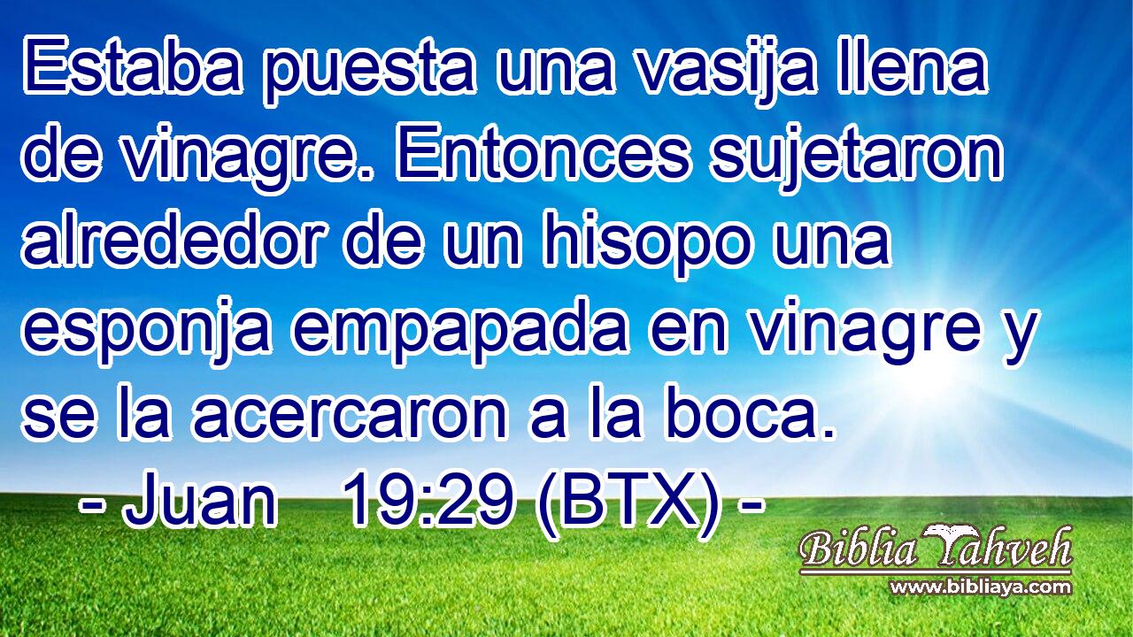 Estaba puesta una vasija llena de vinagre. Entonces sujetaron alrededor de un hisopo una esponja empapada en vinagre y se la acercaron a la boca.