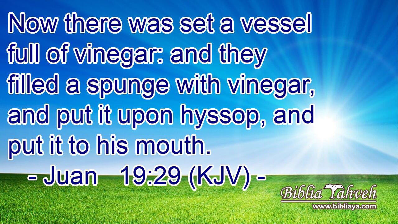 Now there was set a vessel full of vinegar: and they filled a spunge with vinegar, and put it upon hyssop, and put it to his mouth.