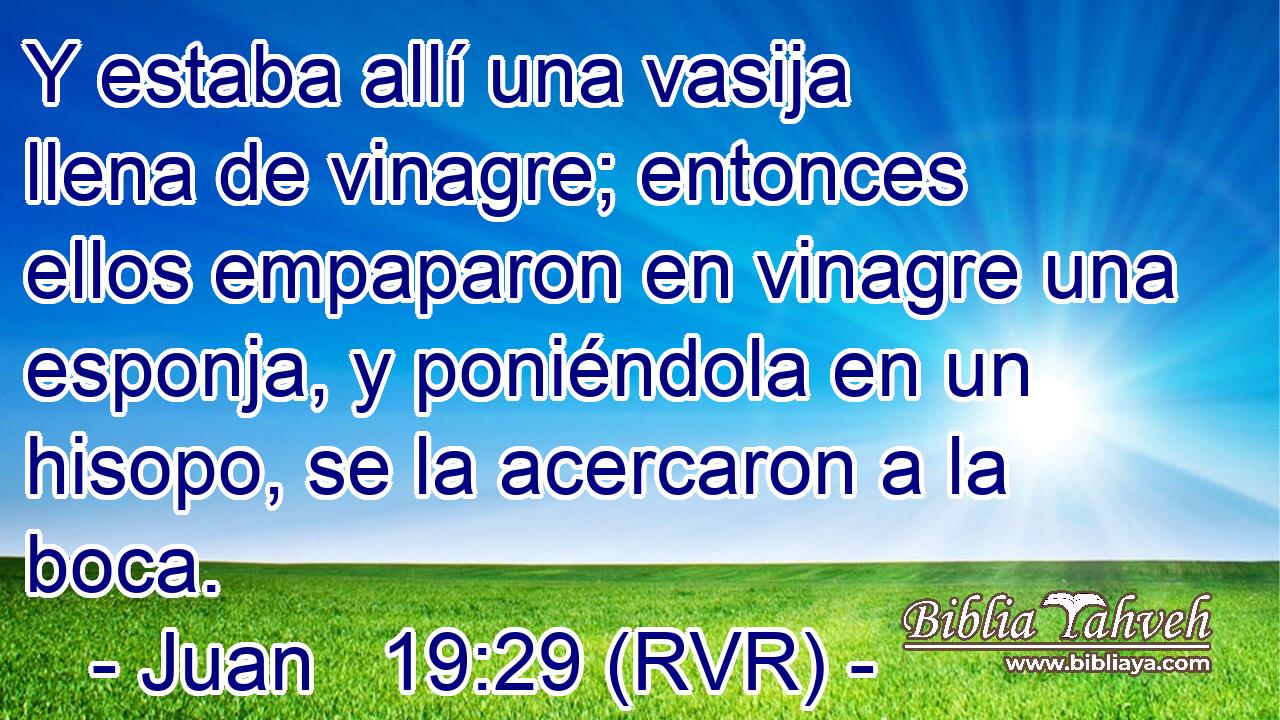 Y estaba allí una vasija llena de vinagre; entonces ellos empaparon en vinagre una esponja, y poniéndola en un hisopo, se la acercaron a la boca.