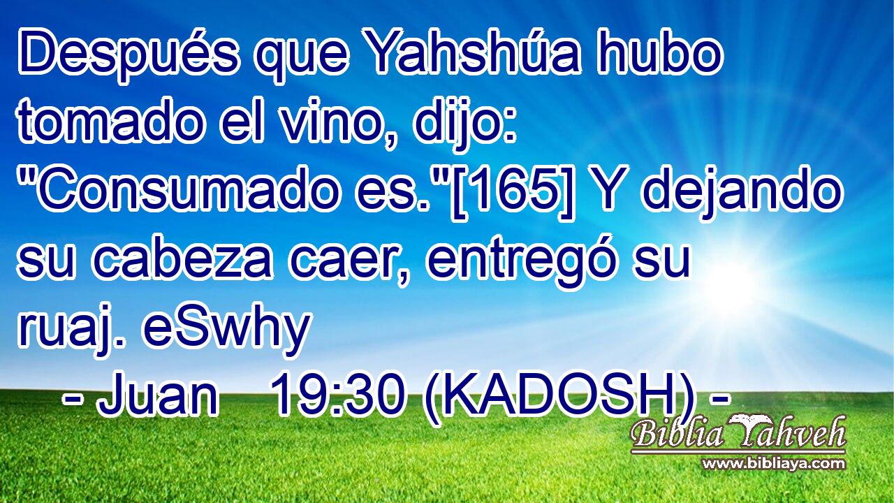  Después que Yahshúa hubo tomado el vino, dijo: 