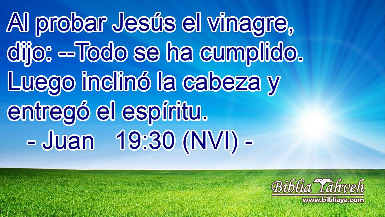  Al probar Jesús el vinagre, dijo: --Todo se ha cumplido. Luego inclinó la cabeza y entregó el espíritu. 