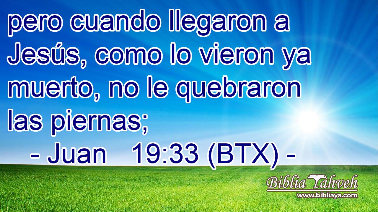 pero cuando llegaron a Jesús, como lo vieron ya muerto, no le quebraron las piernas;