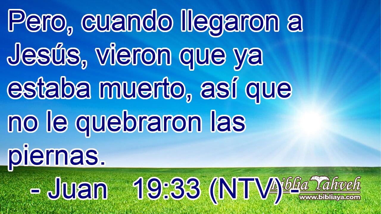 Pero, cuando llegaron a Jesús, vieron que ya estaba muerto, así que no le quebraron las piernas.
