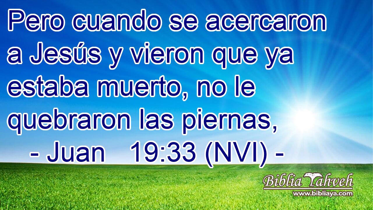  Pero cuando se acercaron a Jesús y vieron que ya estaba muerto, no le quebraron las piernas, 