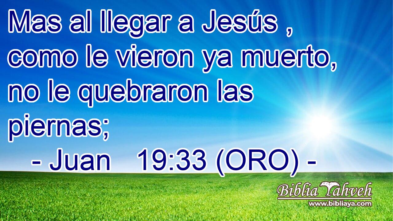  Mas al llegar a Jesús , como le vieron ya muerto, no le quebraron las piernas; 