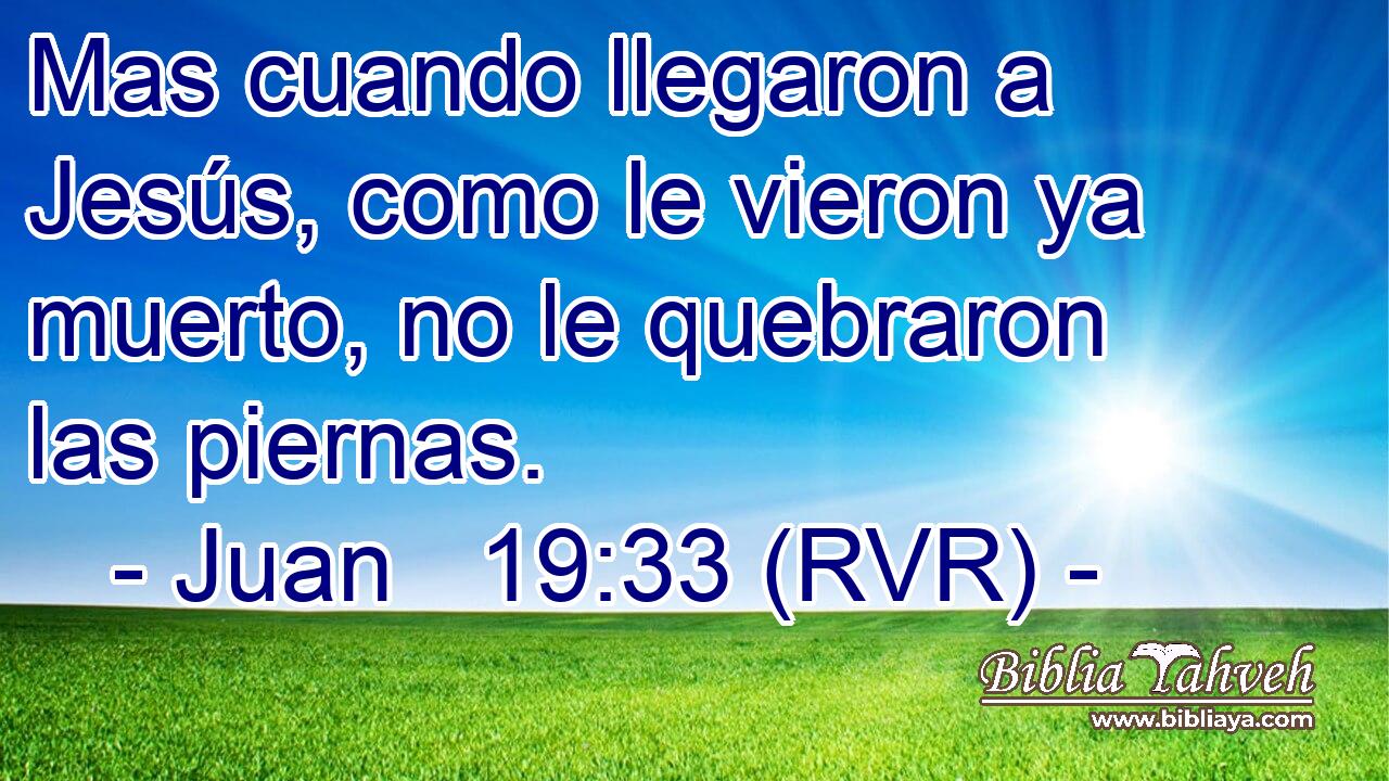 Mas cuando llegaron a Jesús, como le vieron ya muerto, no le quebraron las piernas.