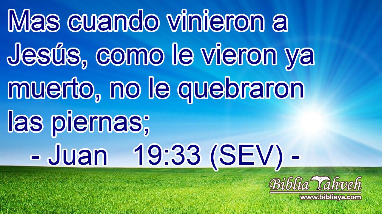 Mas cuando vinieron a Jesús, como le vieron ya muerto, no le quebraron las piernas;