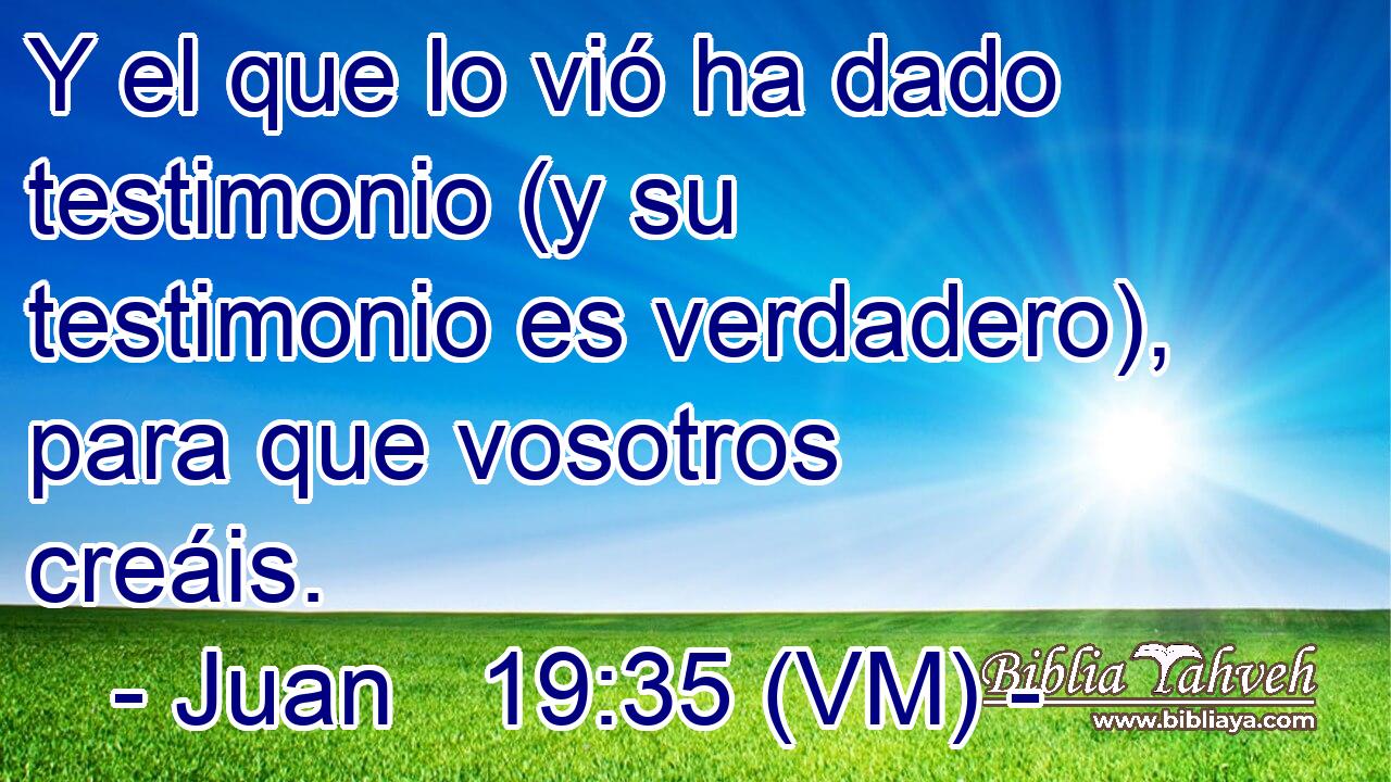 Y el que lo vió ha dado testimonio (y su testimonio es verdadero), para que vosotros creáis. 