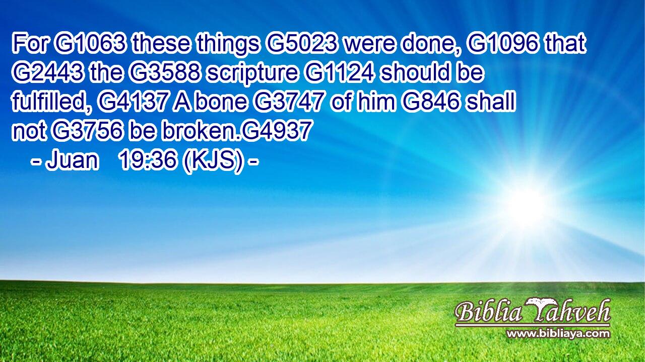 For G1063 these things G5023 were done, G1096 that G2443 the G3588 scripture G1124 should be fulfilled, G4137 A bone G3747 of him G846 shall not G3756 be broken.G4937