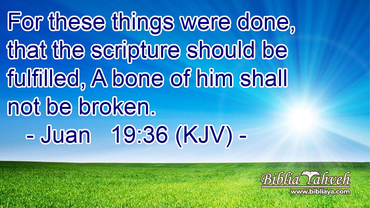 For these things were done, that the scripture should be fulfilled, A bone of him shall not be broken.