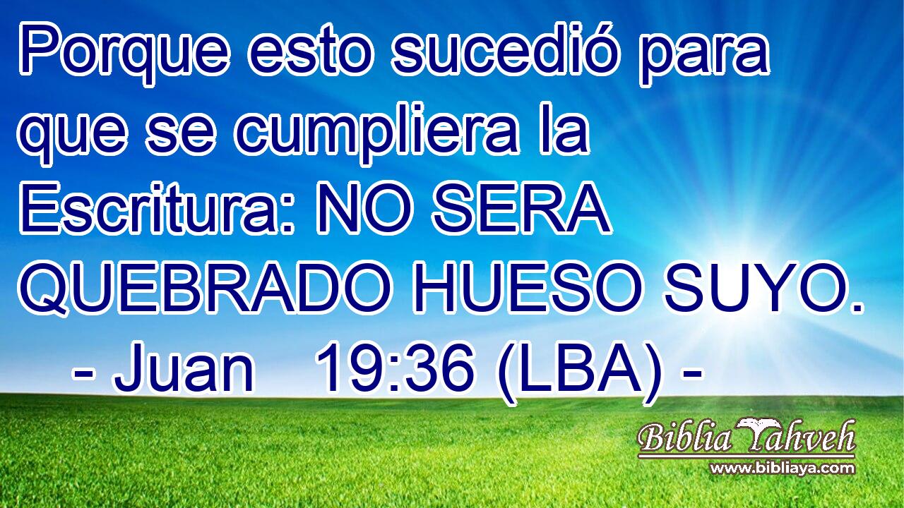 Porque esto sucedió para que se cumpliera la Escritura: NO SERA QUEBRADO HUESO SUYO.