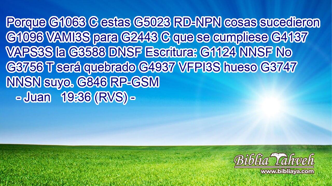 Porque G1063 C estas G5023 RD-NPN cosas sucedieron G1096 VAMI3S para G2443 C que se cumpliese G4137 VAPS3S la G3588 DNSF Escritura: G1124 NNSF No G3756 T será quebrado G4937 VFPI3S hueso G3747 NNSN suyo. G846 RP-GSM 