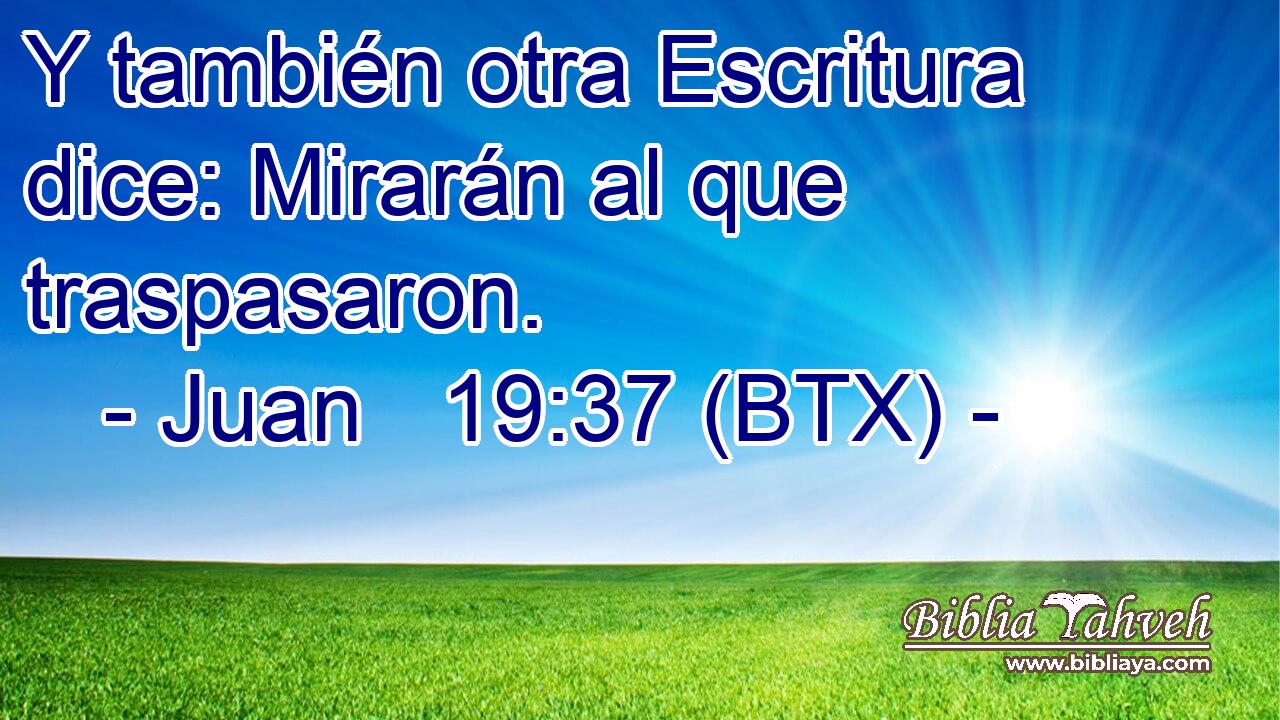 Y también otra Escritura dice: Mirarán al que traspasaron.