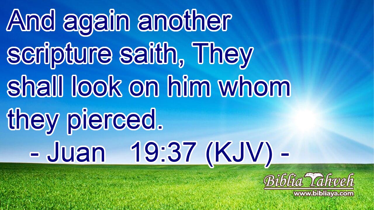And again another scripture saith, They shall look on him whom they pierced.