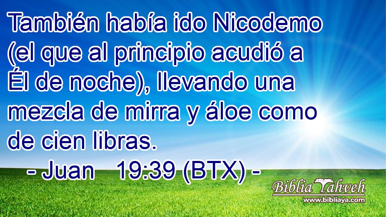 También había ido Nicodemo (el que al principio acudió a Él de noche), llevando una mezcla de mirra y áloe como de cien libras.