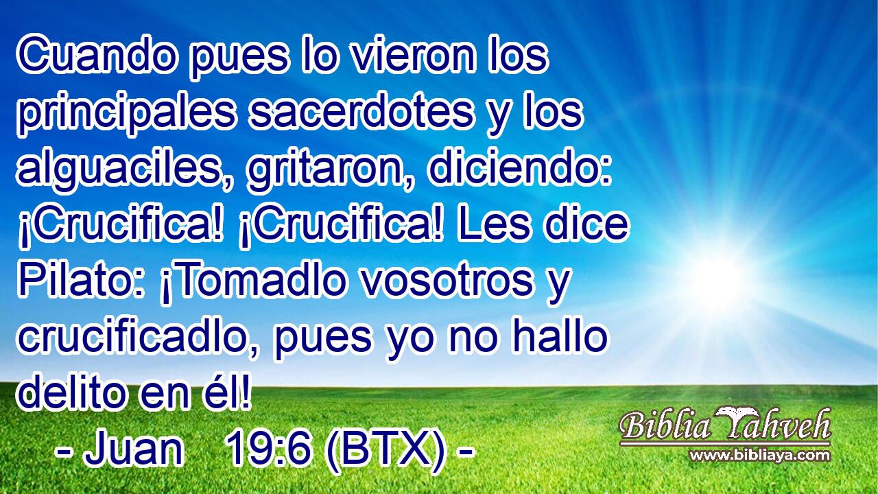 Cuando pues lo vieron los principales sacerdotes y los alguaciles, gritaron, diciendo: ¡Crucifica! ¡Crucifica! Les dice Pilato: ¡Tomadlo vosotros y crucificadlo, pues yo no hallo delito en él!